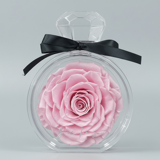 Natural Eternal Flower Ornaments Transparent Cover