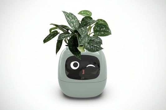Smart Planter – AI Sensors & Fun Expressions